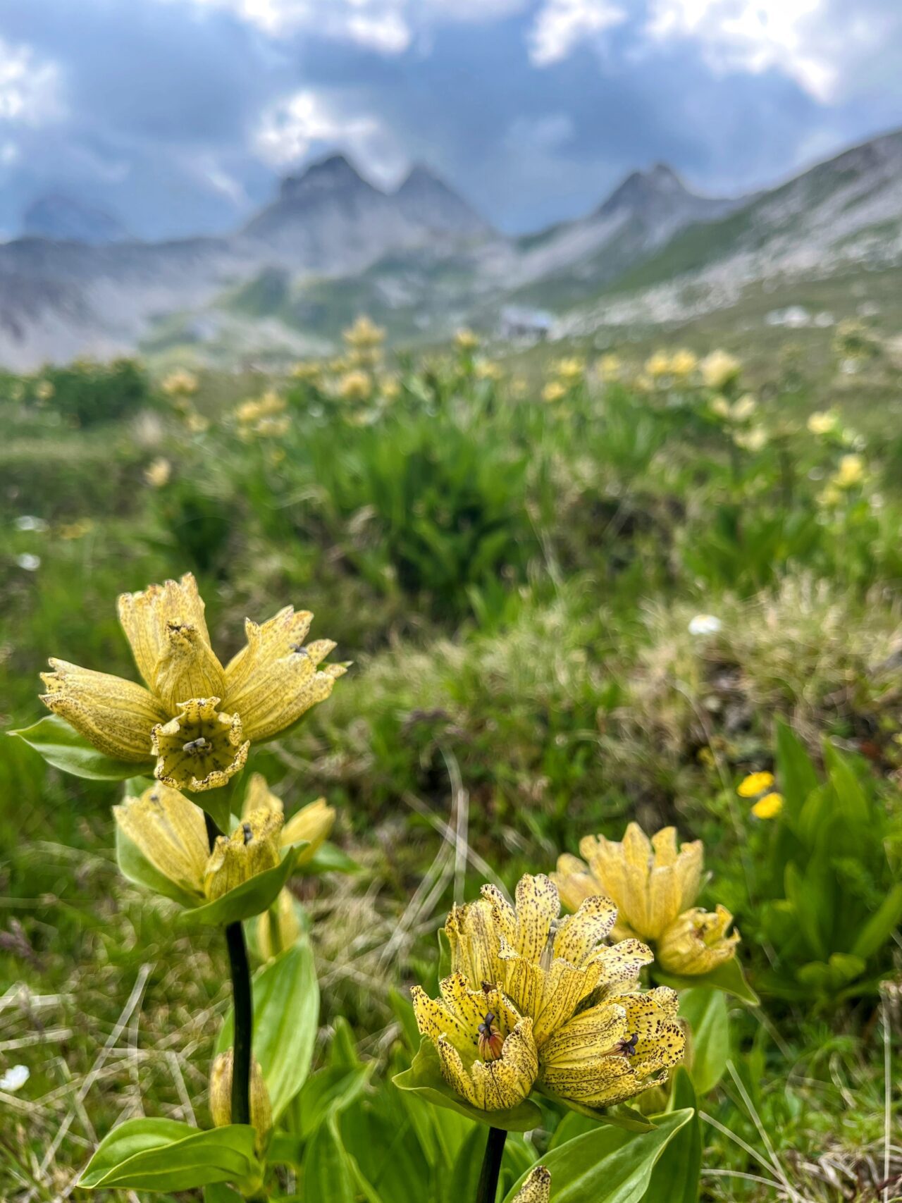 wanderung_cufercalhütte_