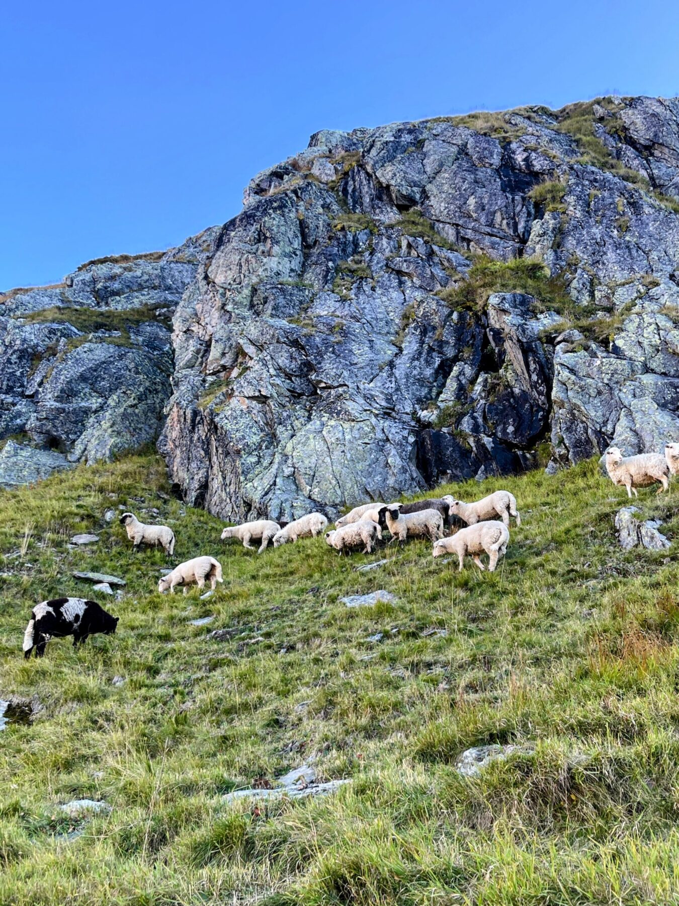 wanderung_5_huetten_panoramaweg_uri_