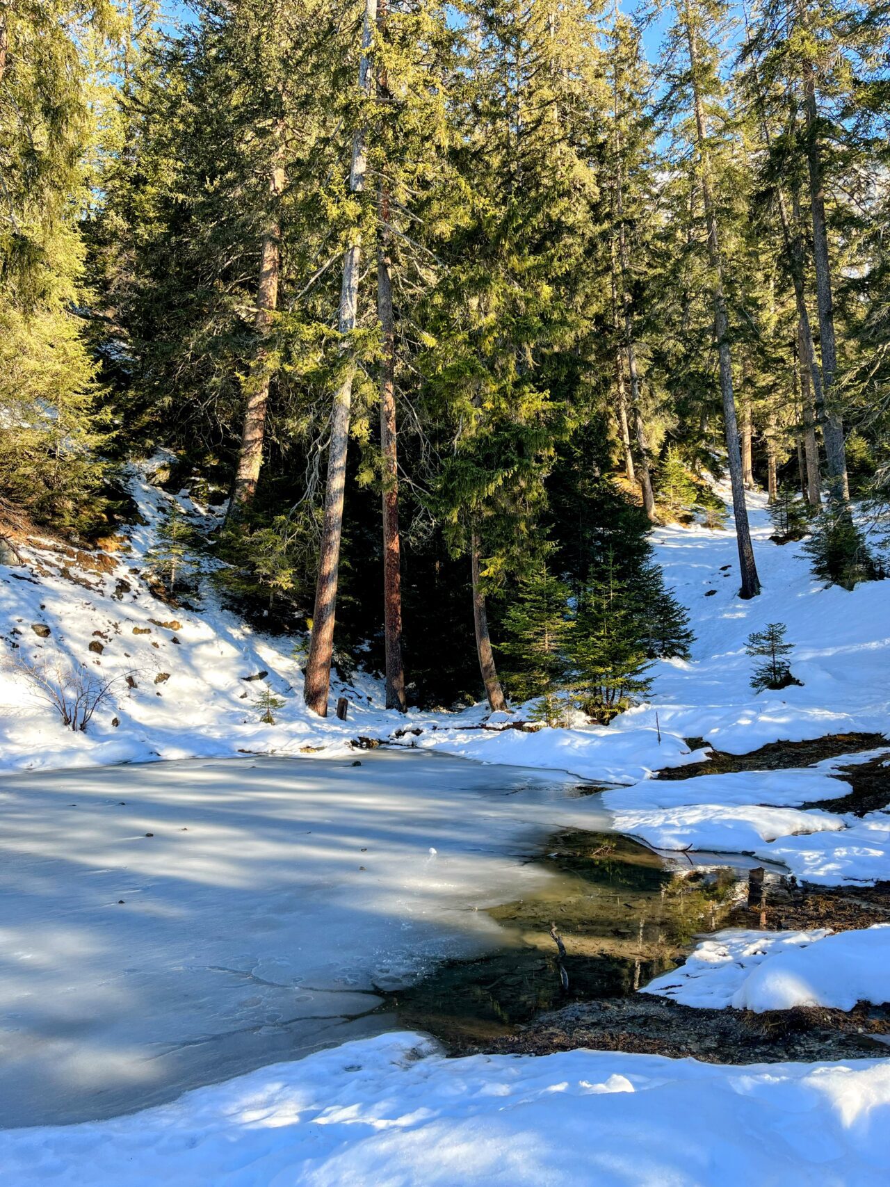 schneeschuhwandern_lantsch__IMG_0287 (Kopie)