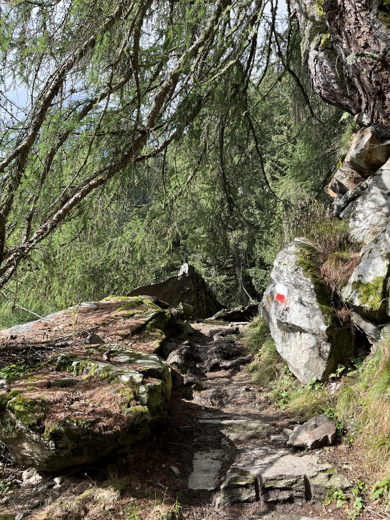 wanderung_Meraner_hoehenweg_hochmuth_nasereithuette_montferthof_