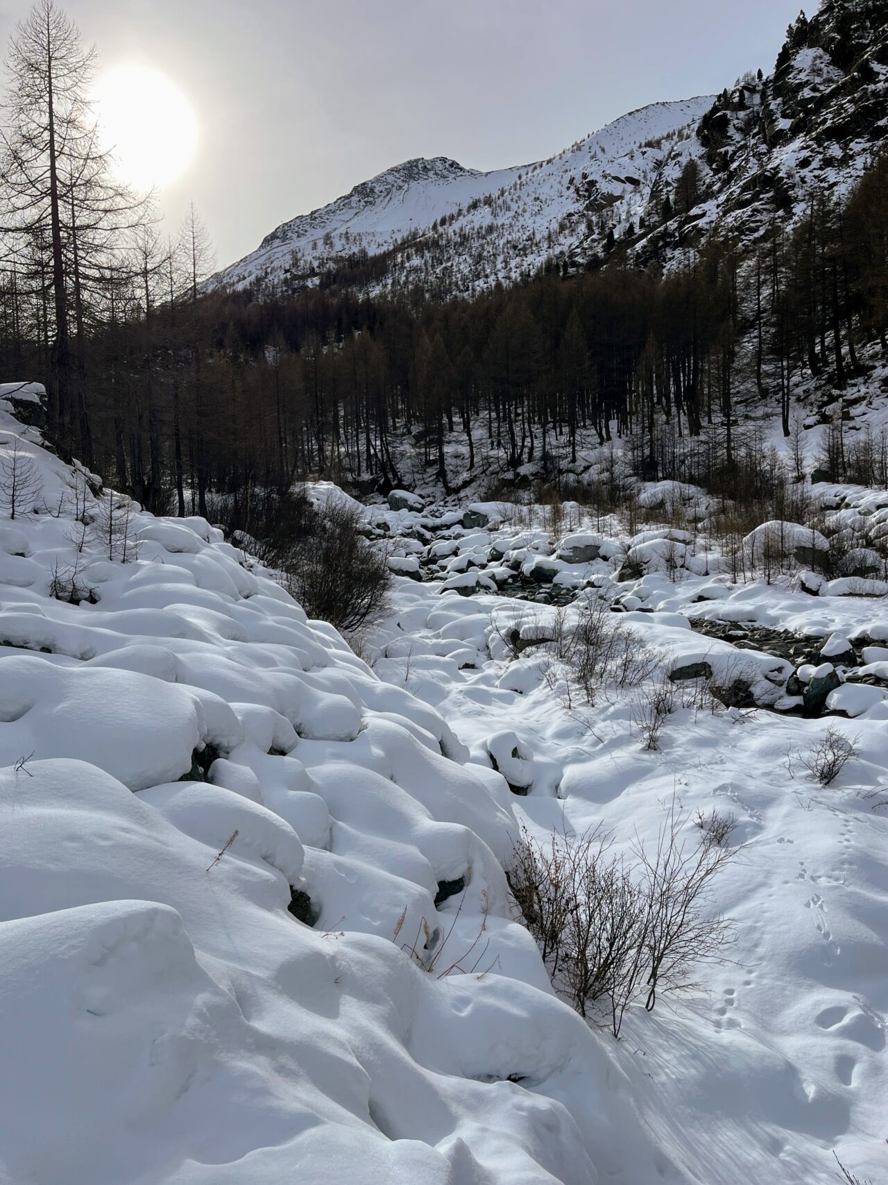 schneeschuhwanderung-mattmark-_IMG_9013