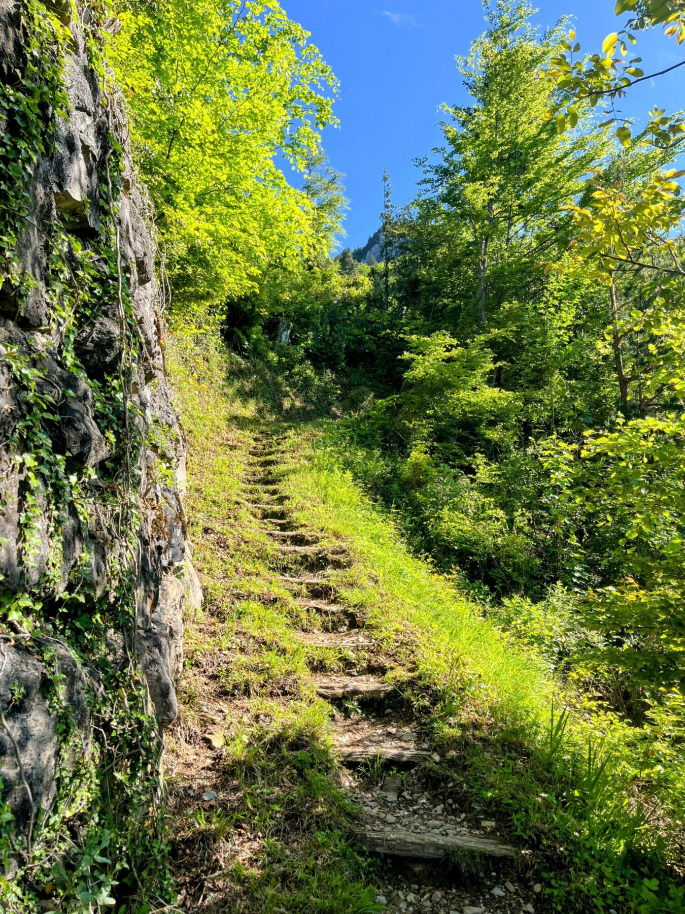 wanderung_brunnen_urmiberg_schwand_stockflue_