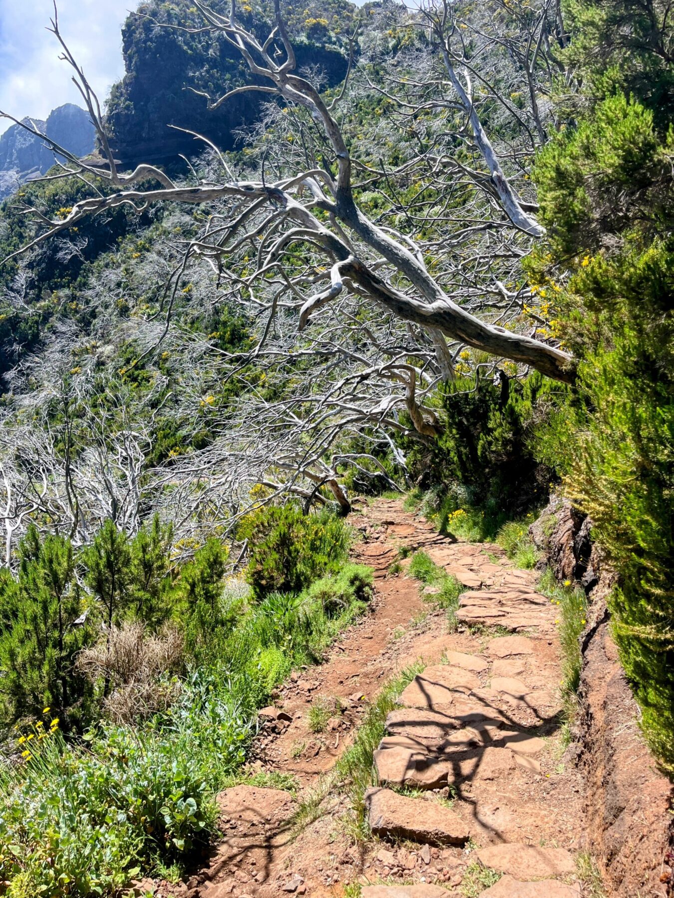 wanderung_pico_arieiro_pico_ruivo_