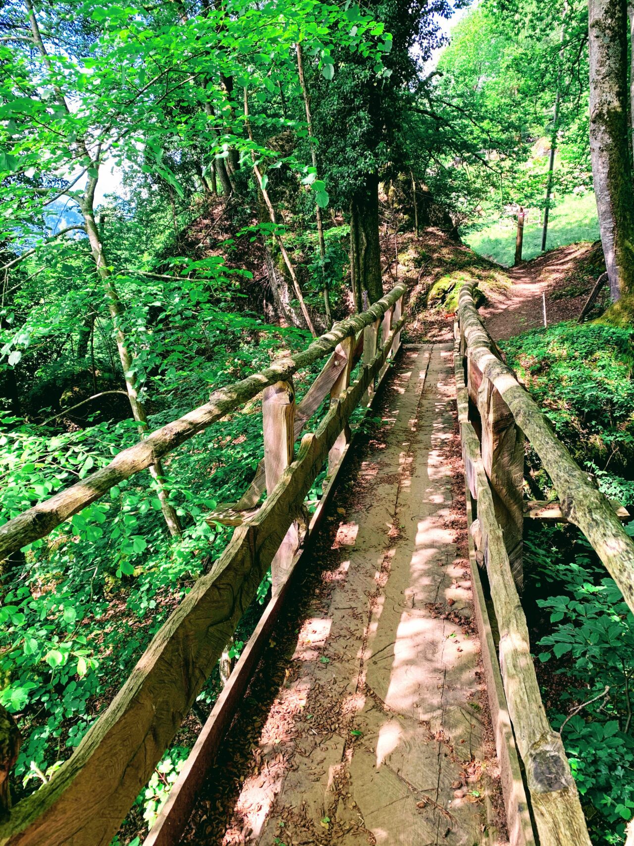 wanderung_waldstaetterweg_vitznau_kuesnacht_am_rigi_