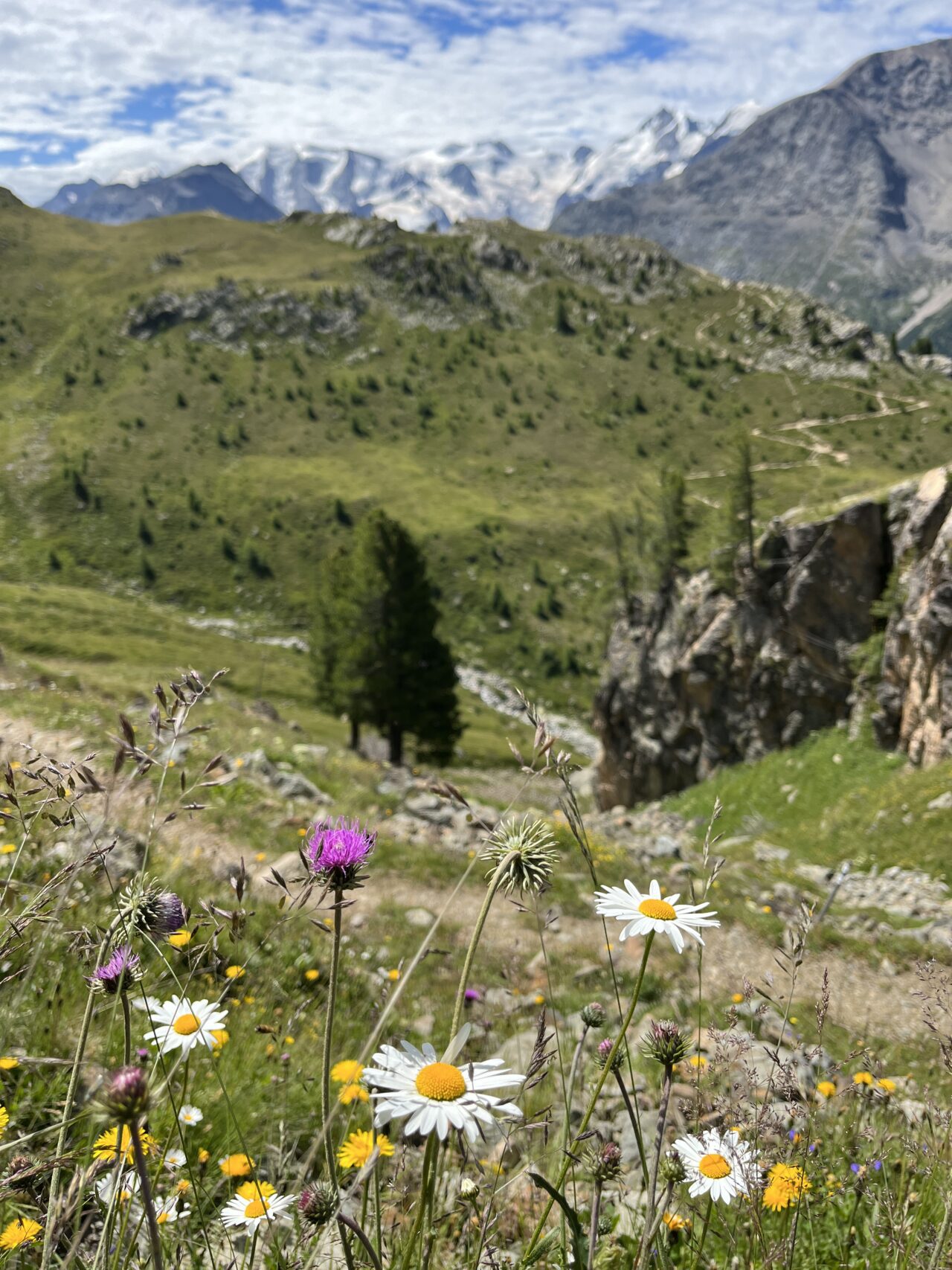 wanderung_alp_languard_piz_languard_