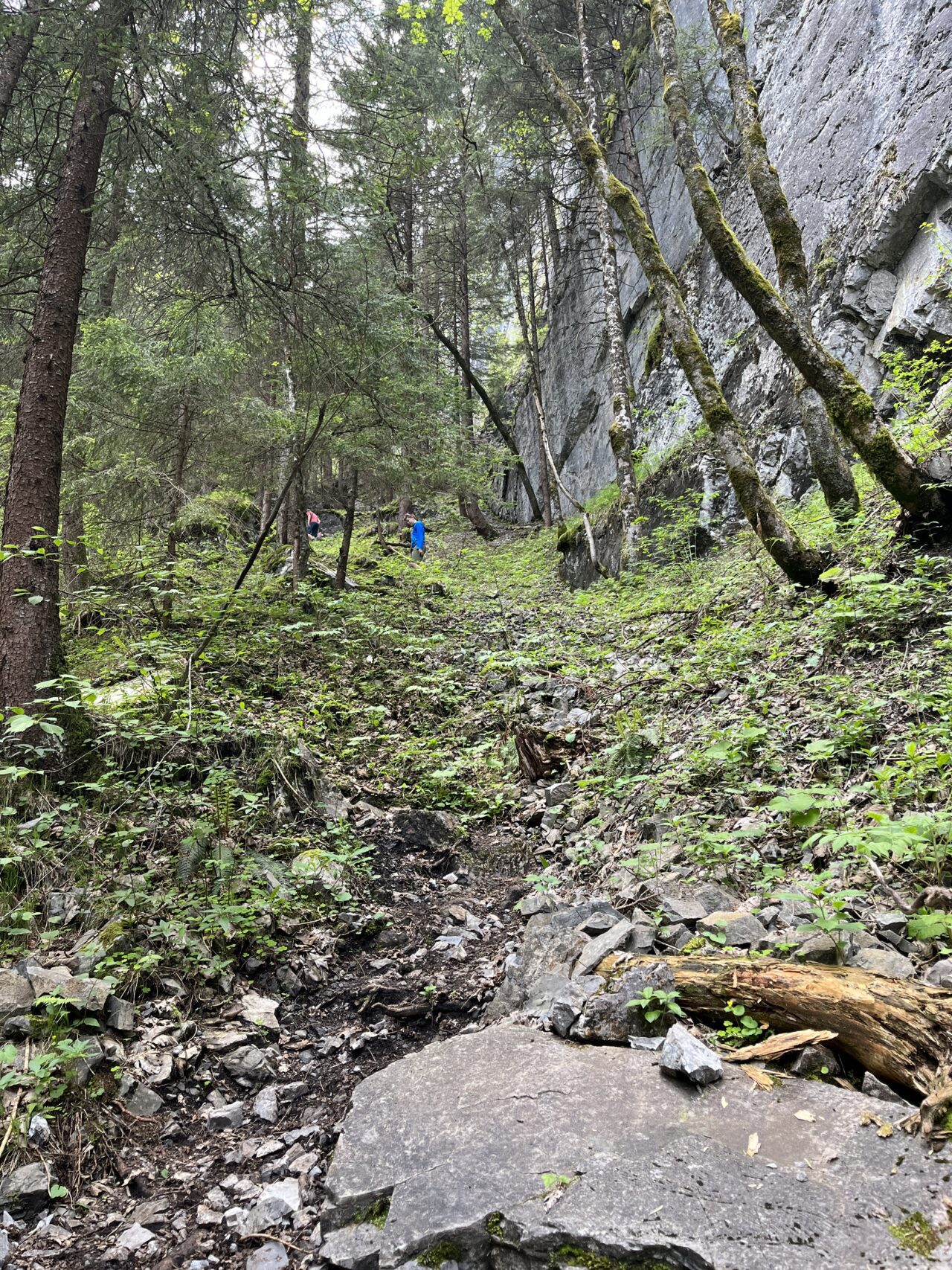 klettersteig_kellenegg_