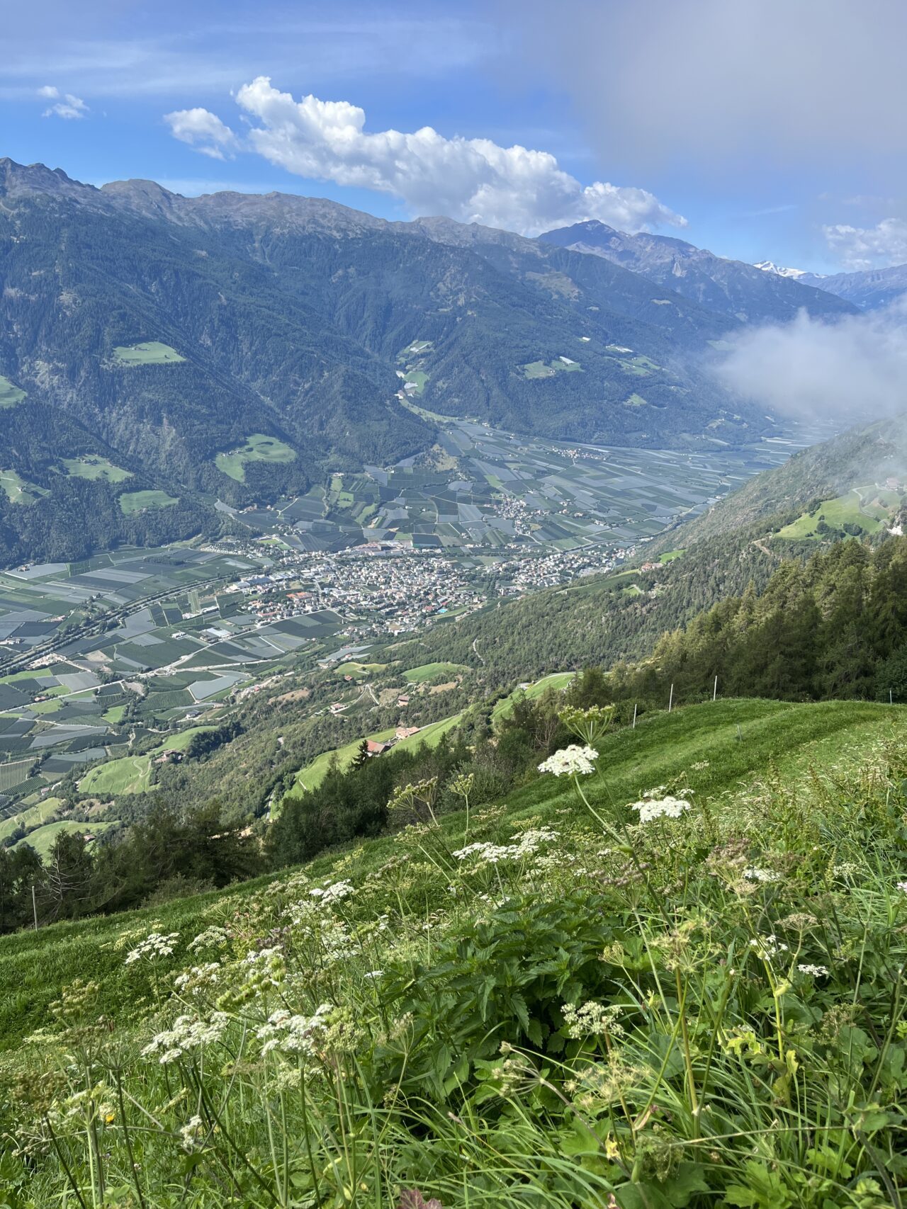 wanderung_Meraner_hoehenweg_hochmuth_nasereithuette_montferthof_
