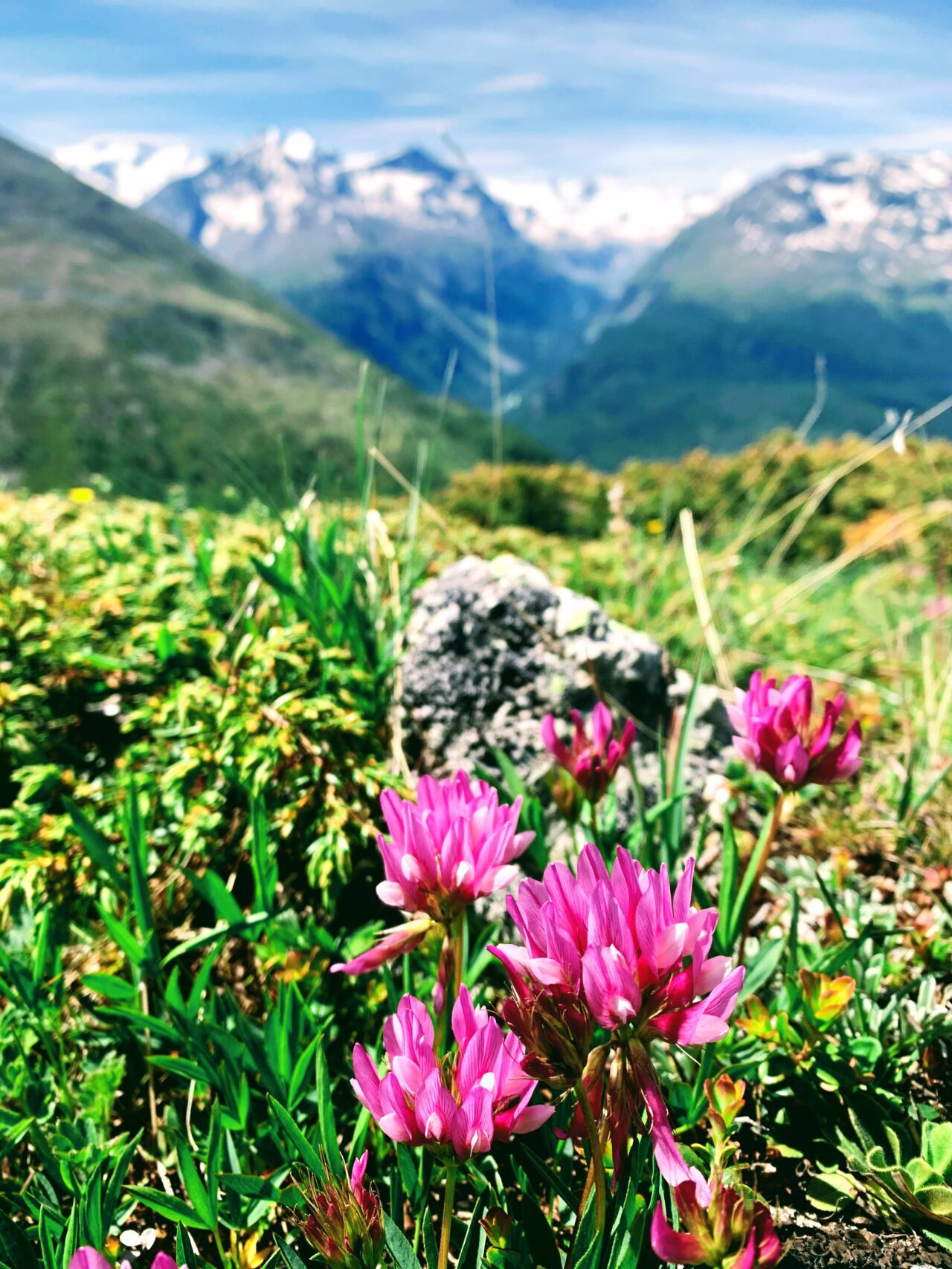 wanderung_segantinihuette_