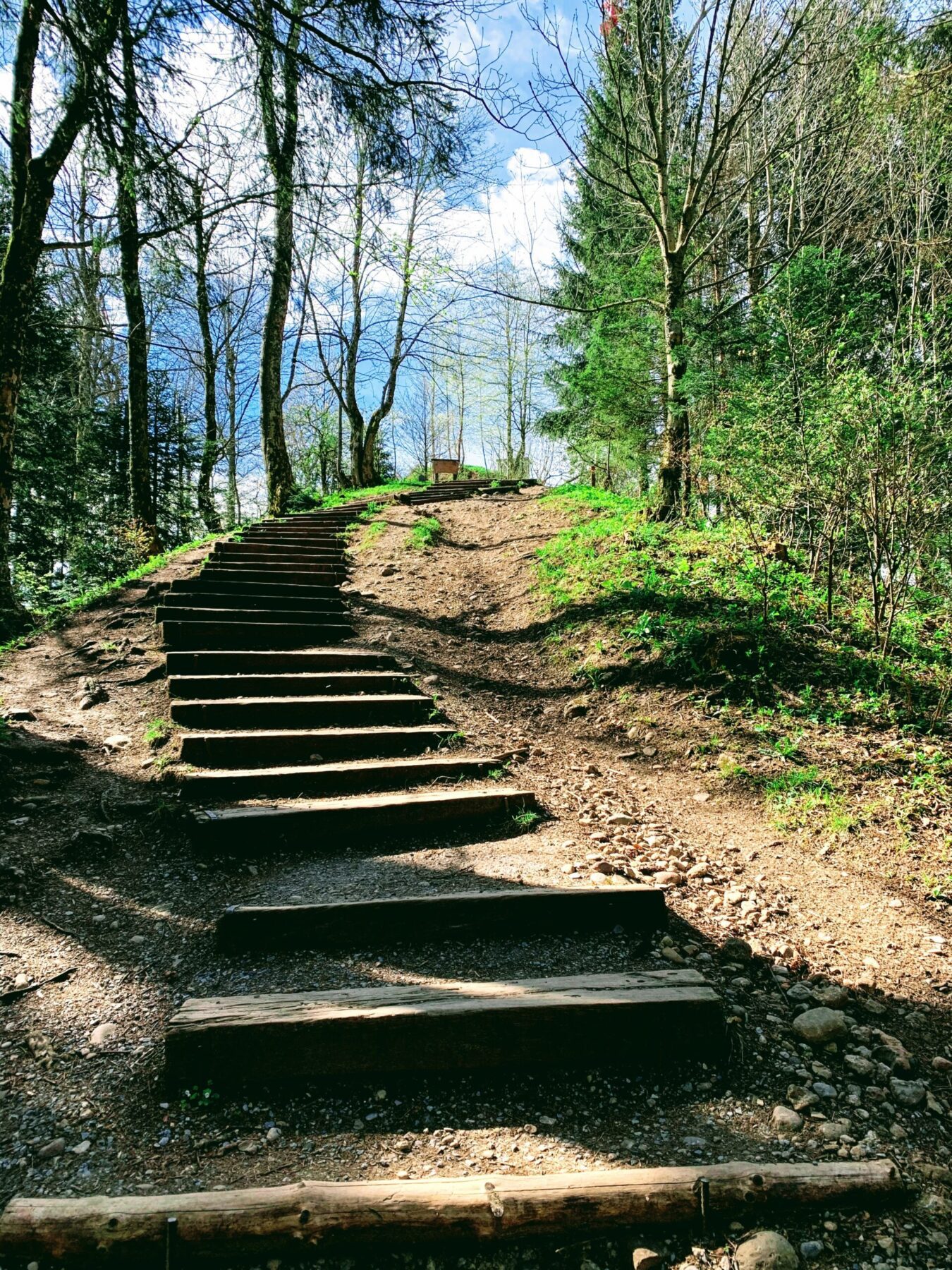 wanderung_bachtel_bachtelspalt_wald_