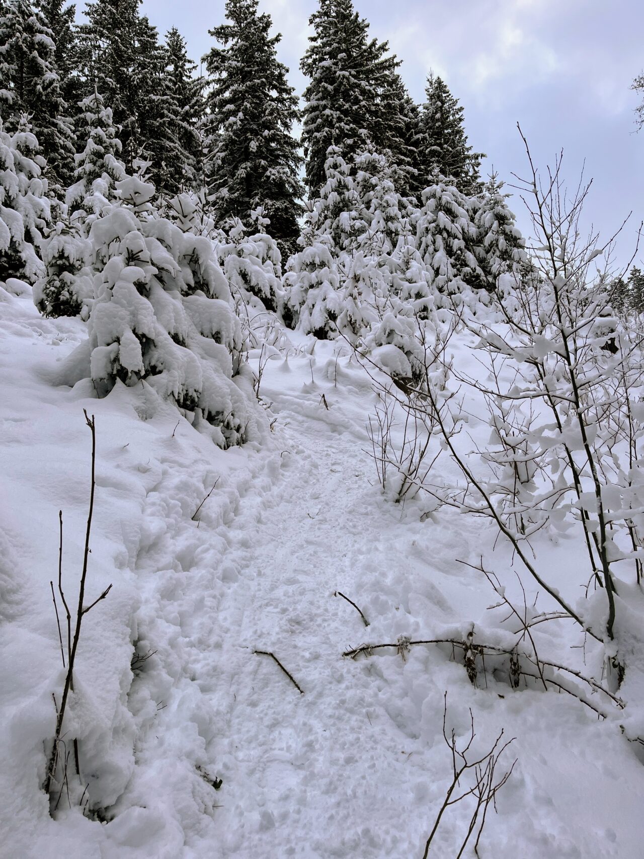 schneeschuhwanderung-furggelenstock-_IMG_9233