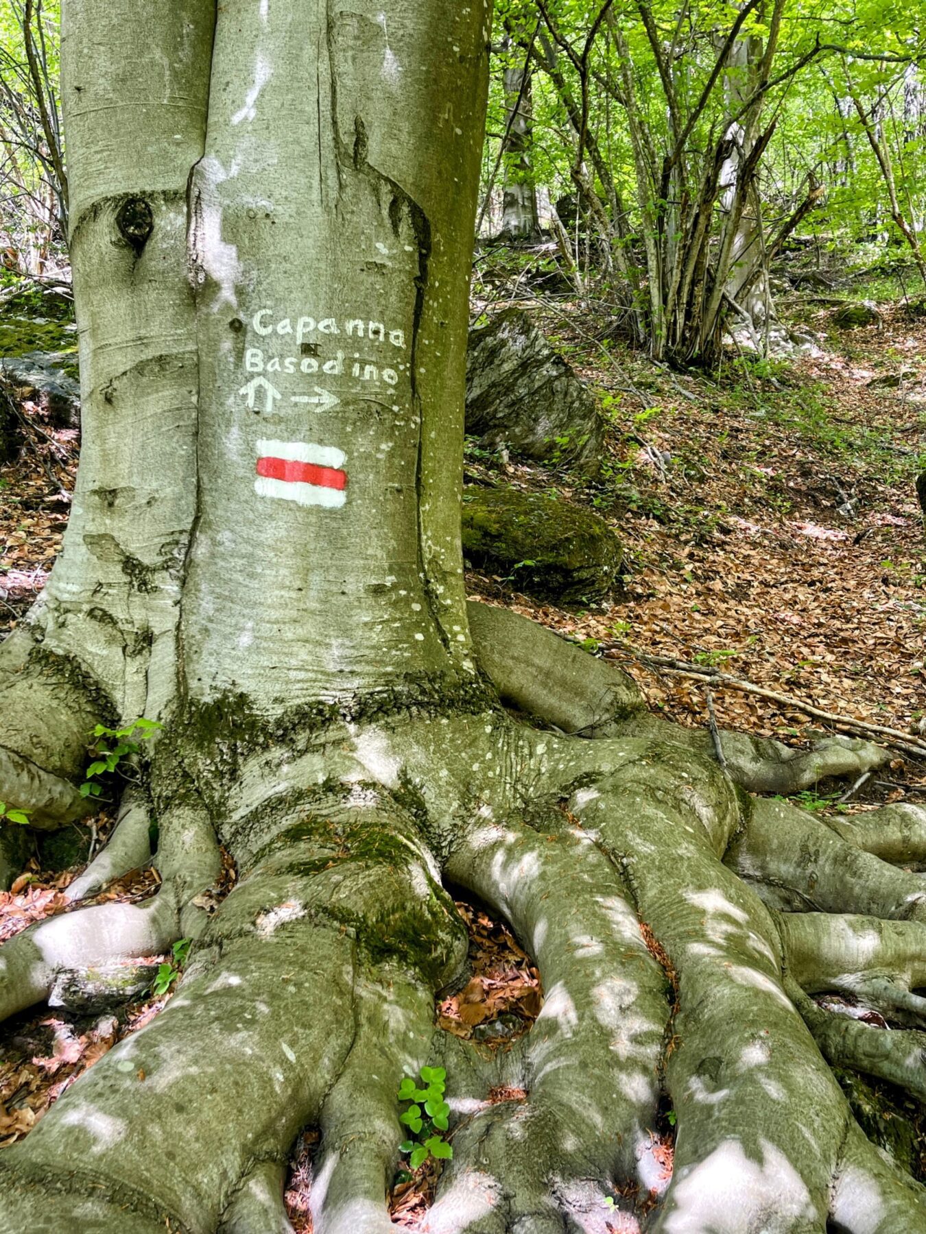 wanderung_san_carlo_capanna_basodino_