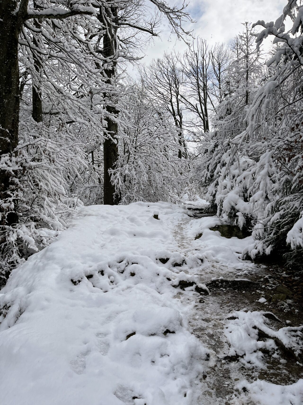 wanderung_albishorn_
