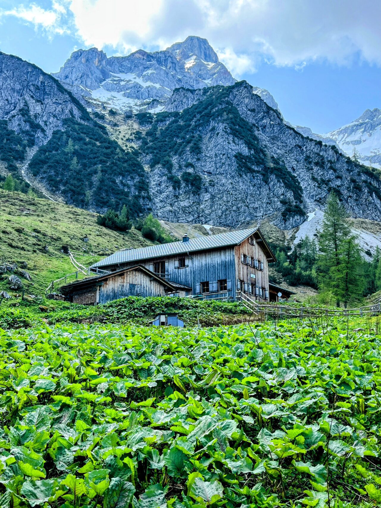 wanderung_sarotlahütte_