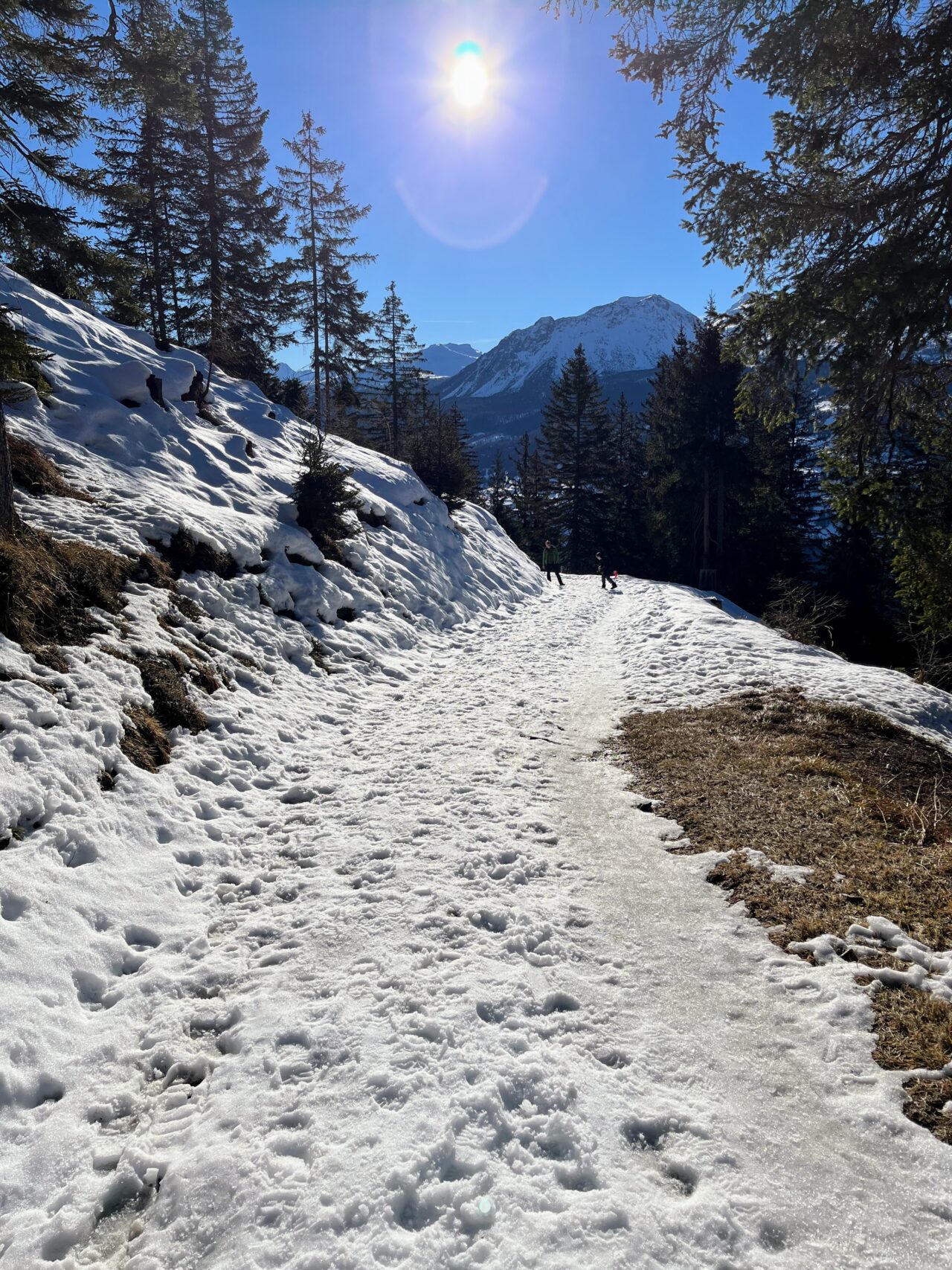 schneeschuhwandern_lantsch__IMG_0304