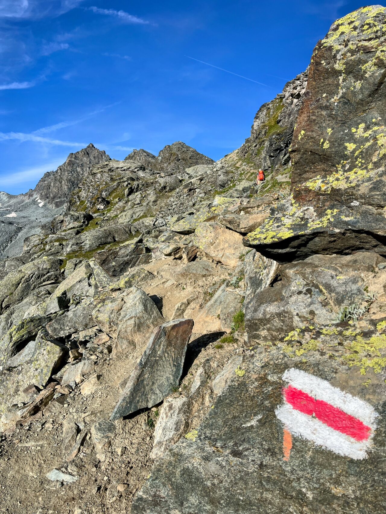 wanderung_alpenpaesseweg_etappe_29_cabane_de_prafleuri_cabane_de_louvie_