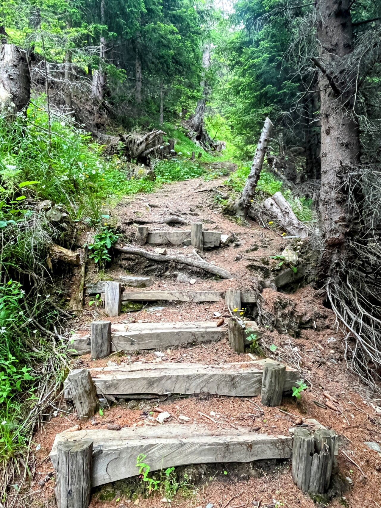 wanderung_cufercalhütte_