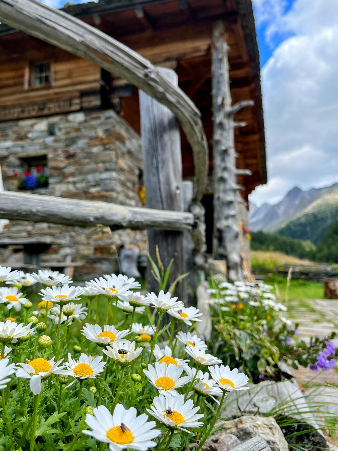 wanderung-meraner-hoehenweg-montferthof-eishof-