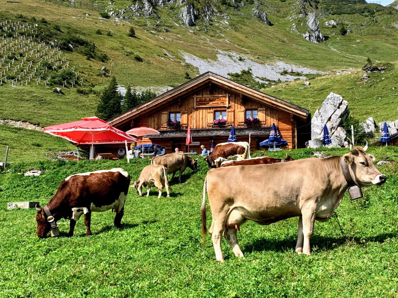 wanderung_brunnihuette_