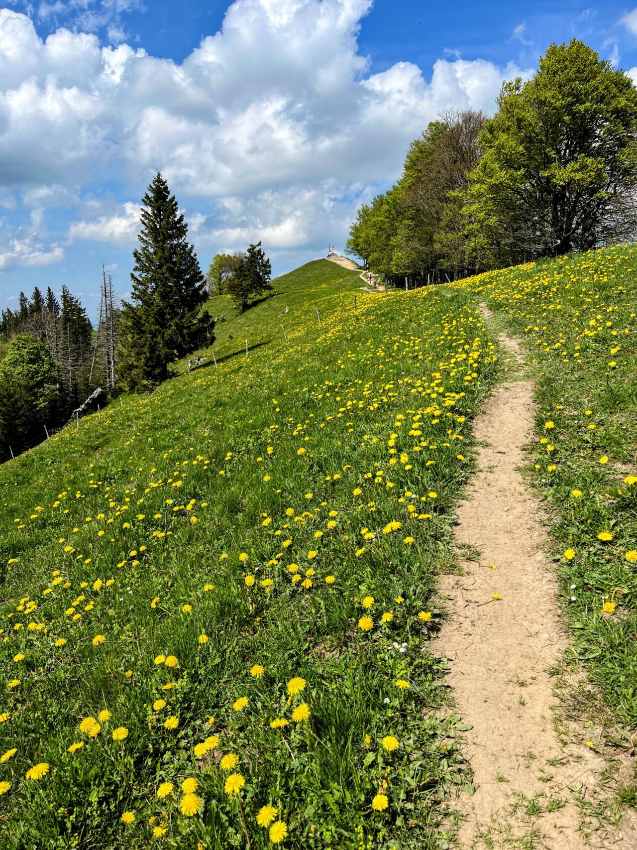 wanderung_schnebelhorn_
