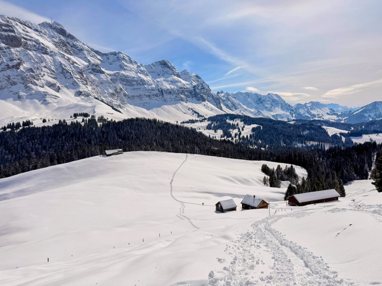 schneeschuhtour_lehmen_kronberg_chammhaldenhuette_schwaegalp__IMG_1393