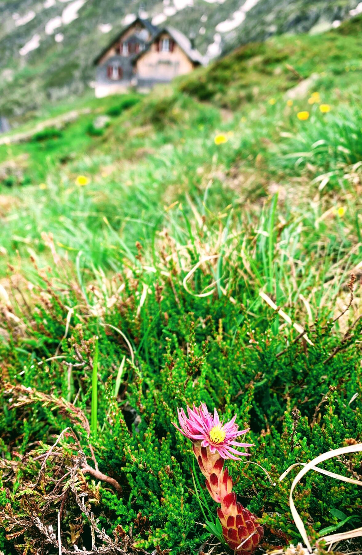 wanderung_gaulihuette_