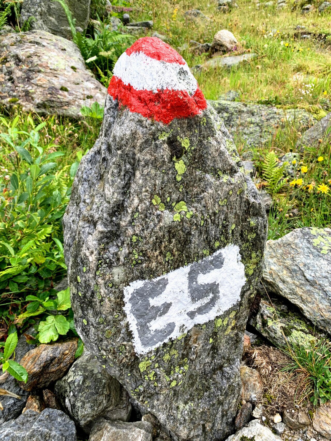 alpenueberquerung_mit_kindern_tag_6_von_mittelberg_zur_braunschweiger_huette_