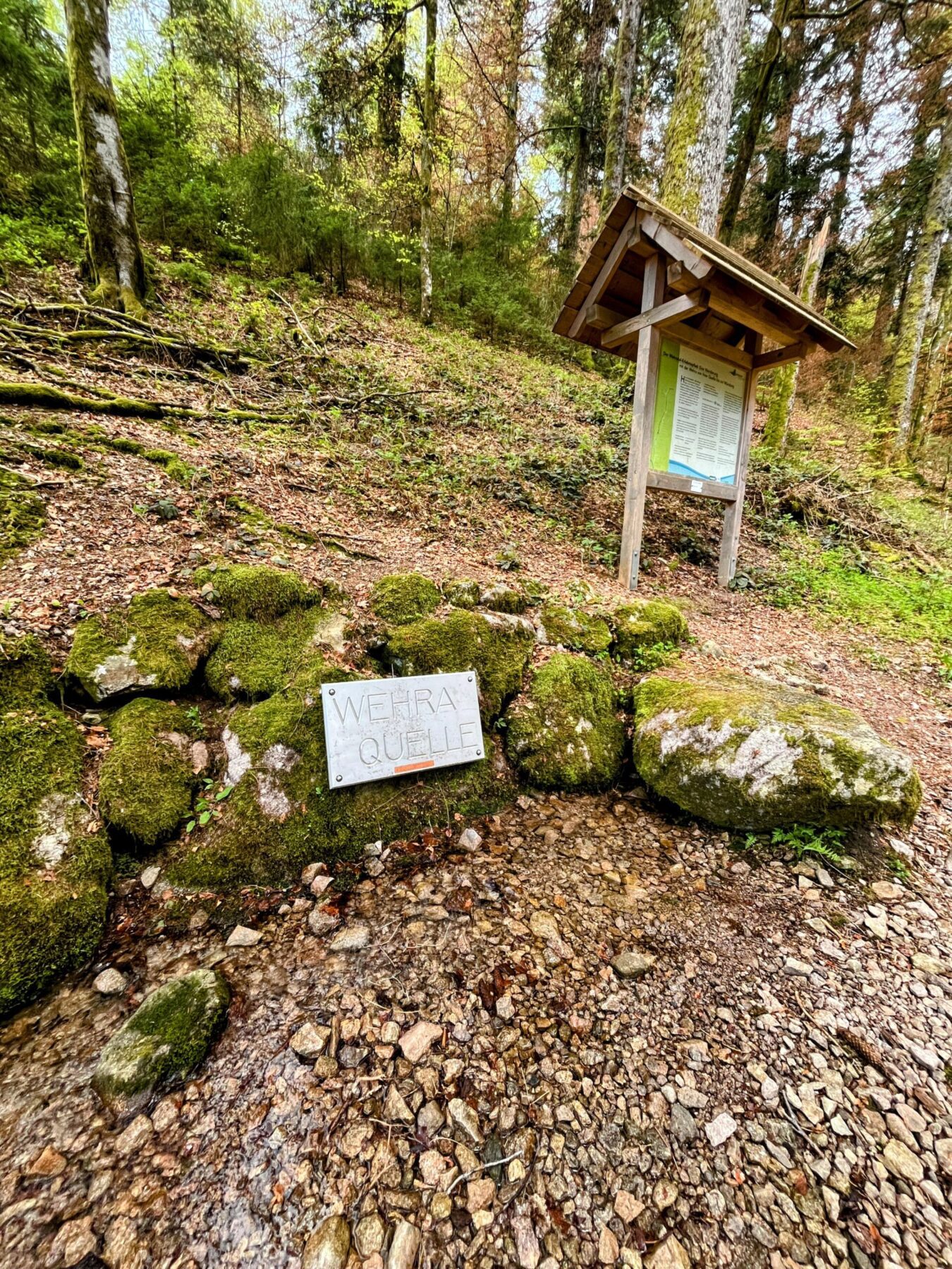 wanderung_schluchtensteig_schwarzwald_
