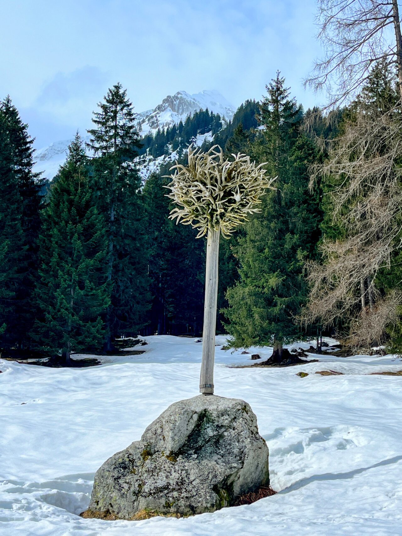 winterwanderung_und_schlitteln_lindauer_huette__IMG_4447