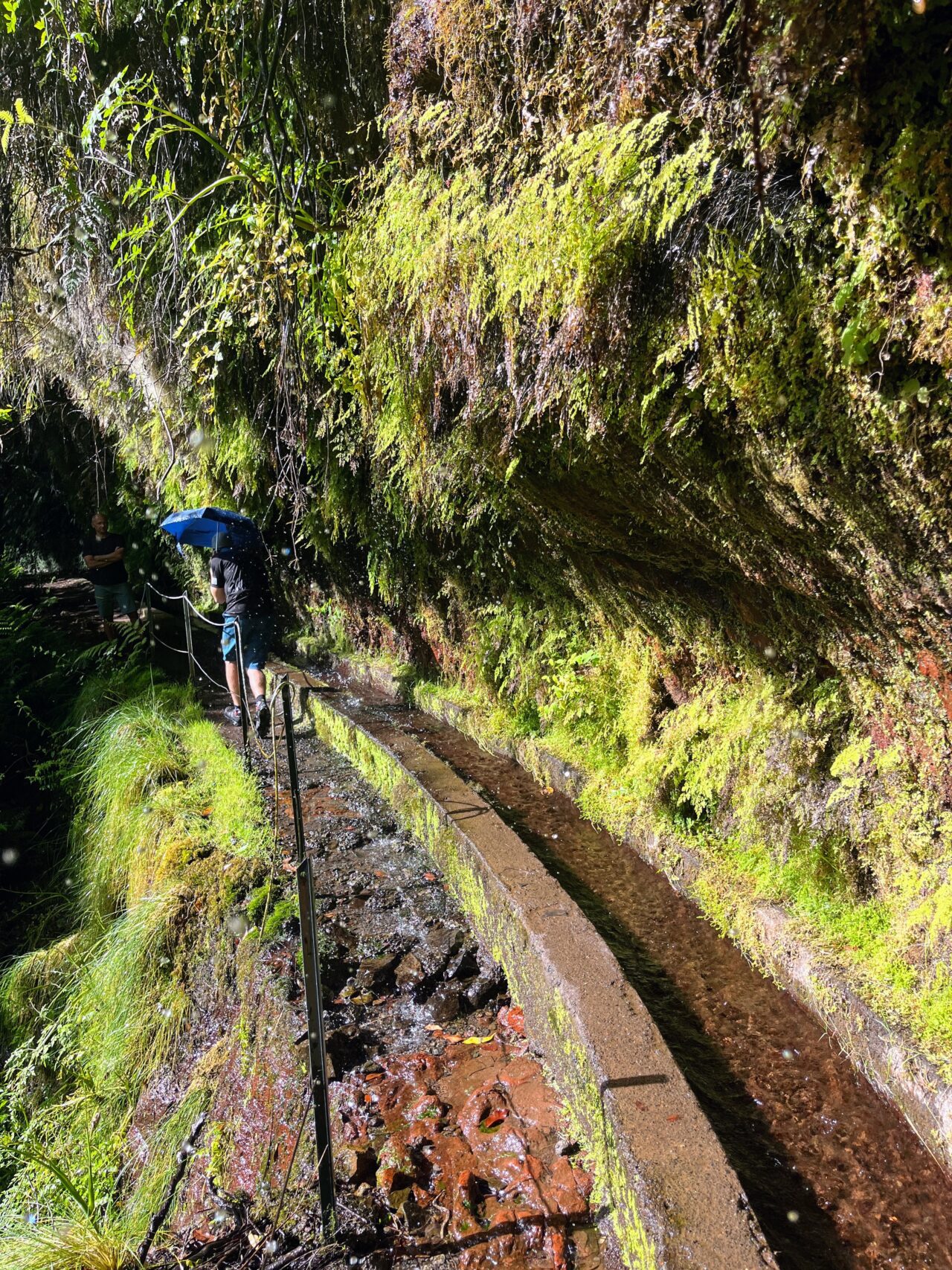 wanderung_levada_do_rei_pr18_