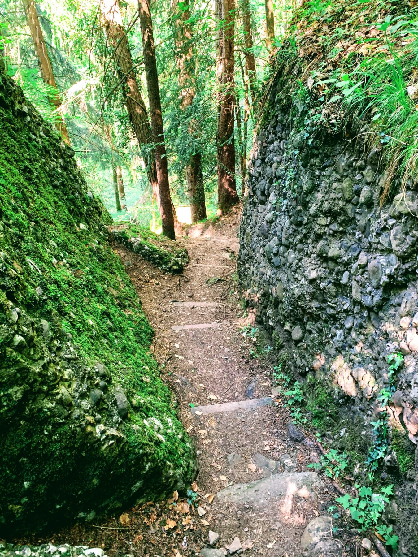 wanderung_waldstaetterweg_vitznau_kuesnacht_am_rigi_