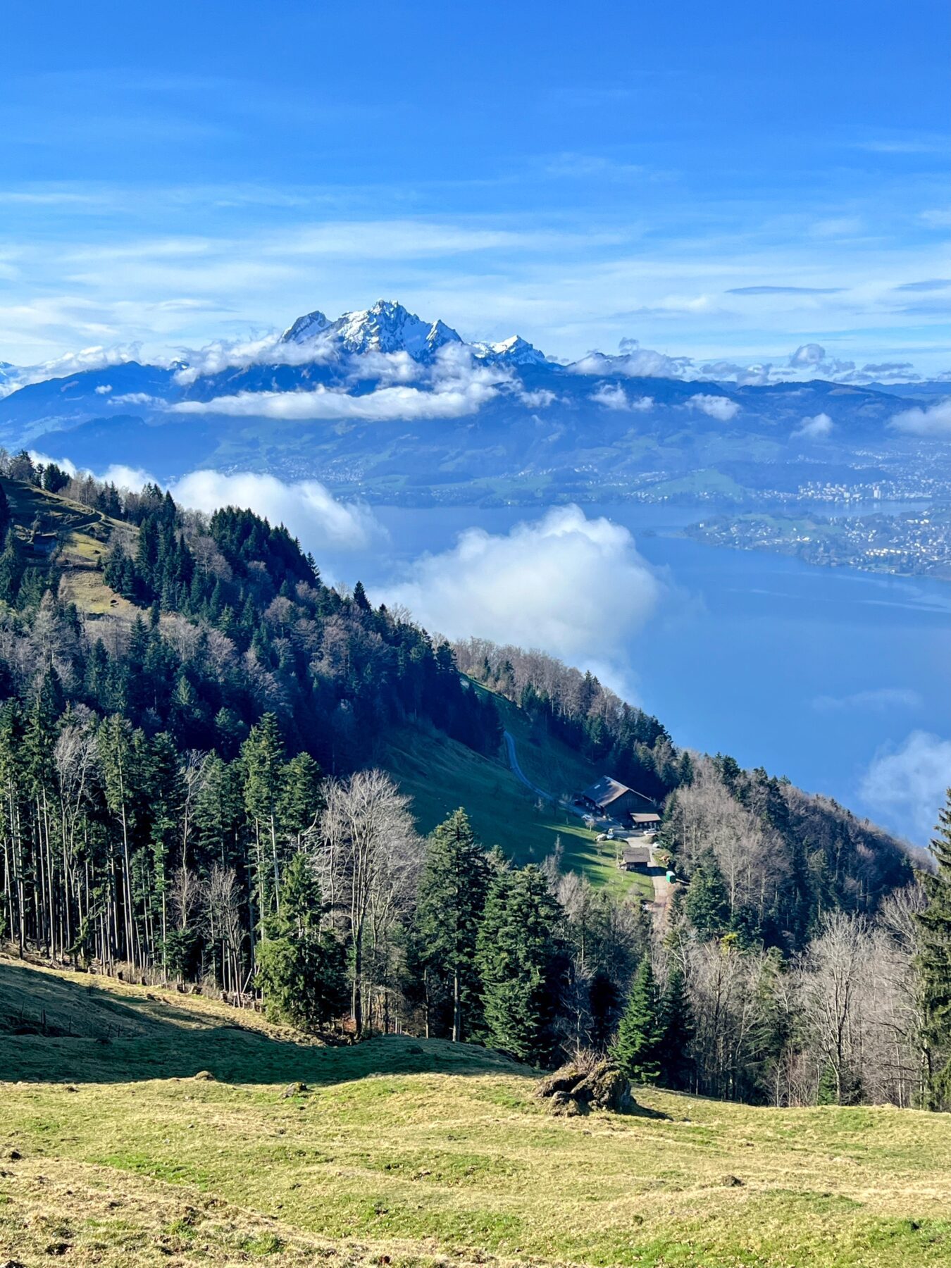 wanderung_greppen_rigi_