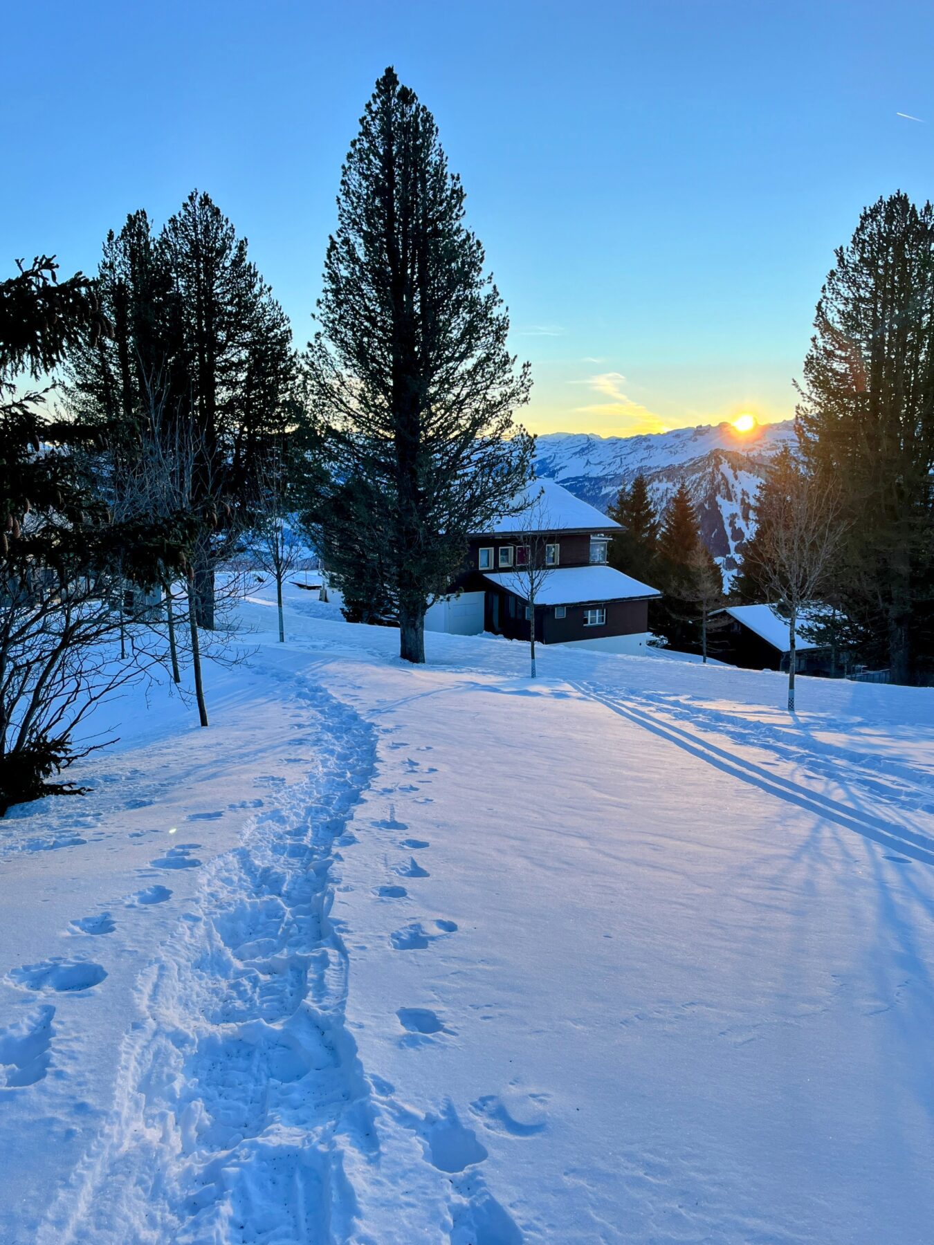 winterwandern_rigi_