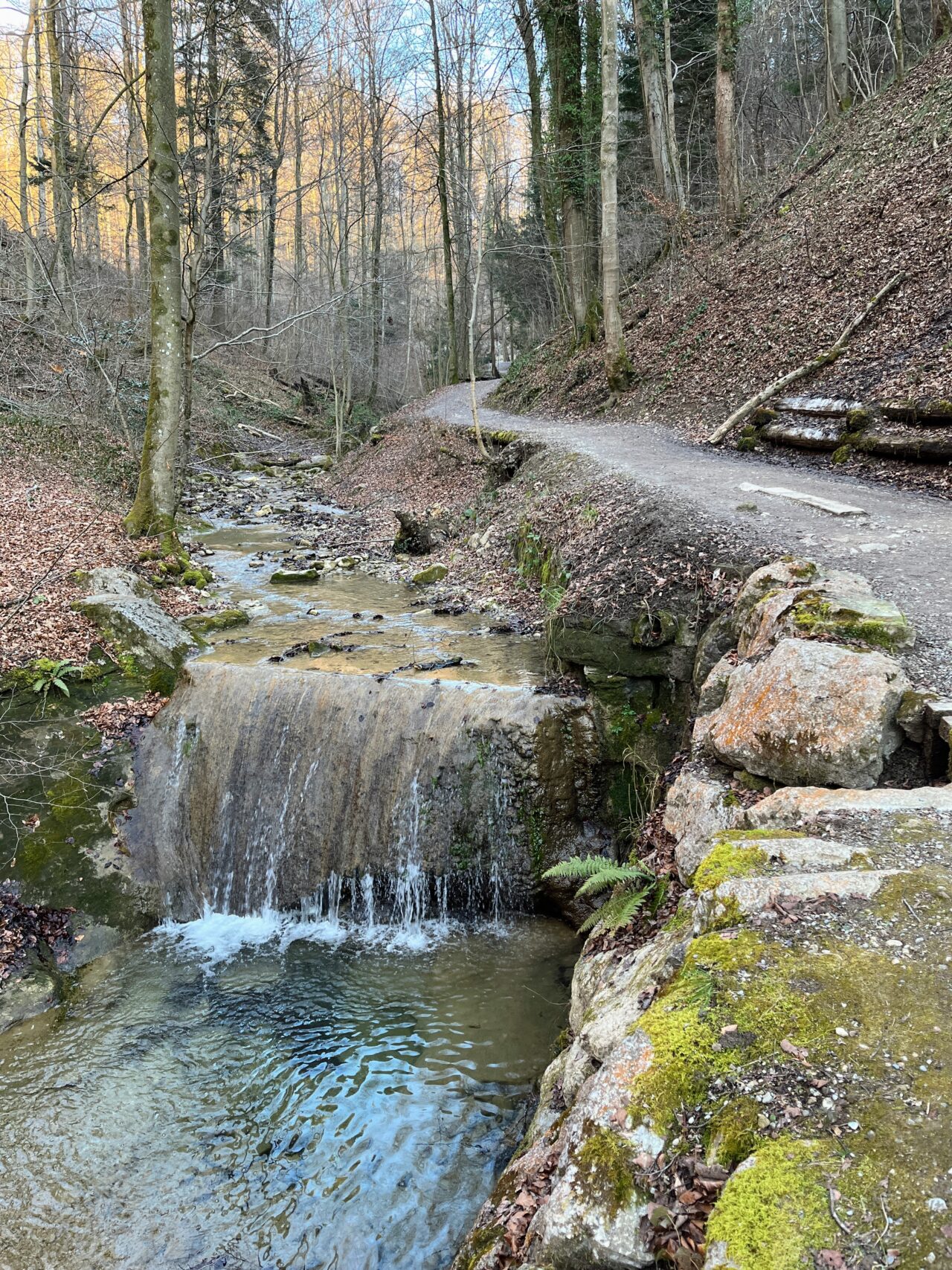 wanderung_zürich_loorenkopf_