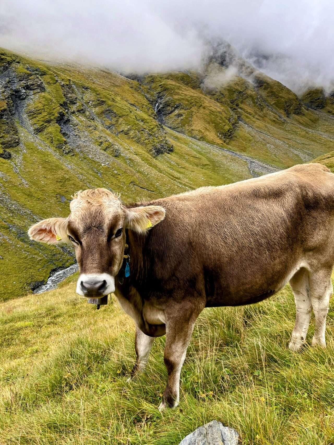 wanderung_alpenpässeweg_6_etappe_6_splügen_thalkirch_