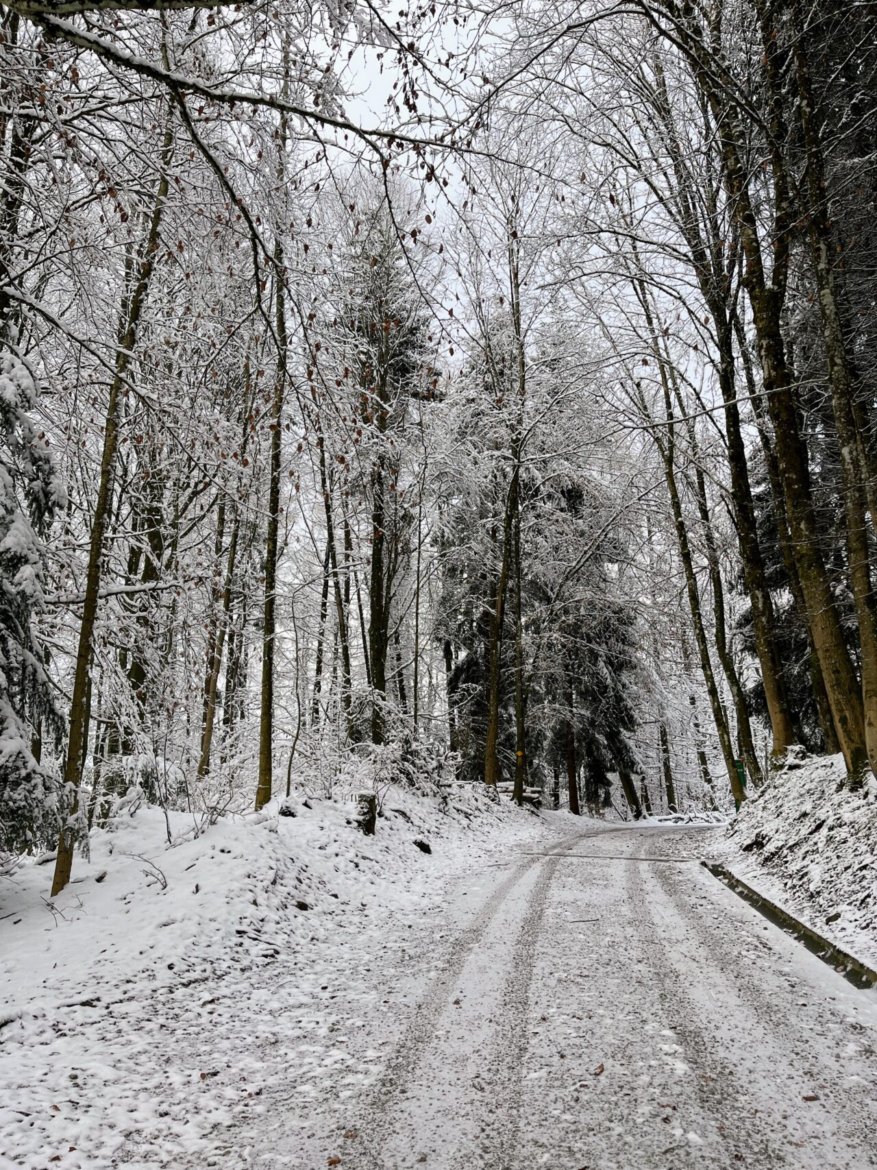 wanderung_albishorn_