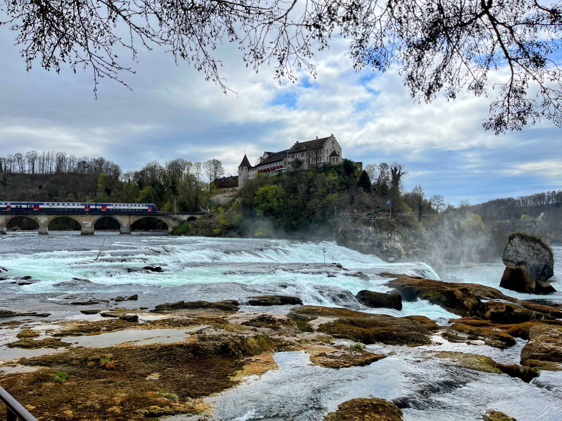 wanderung_rheinau_rheinfall_schaffhausen_