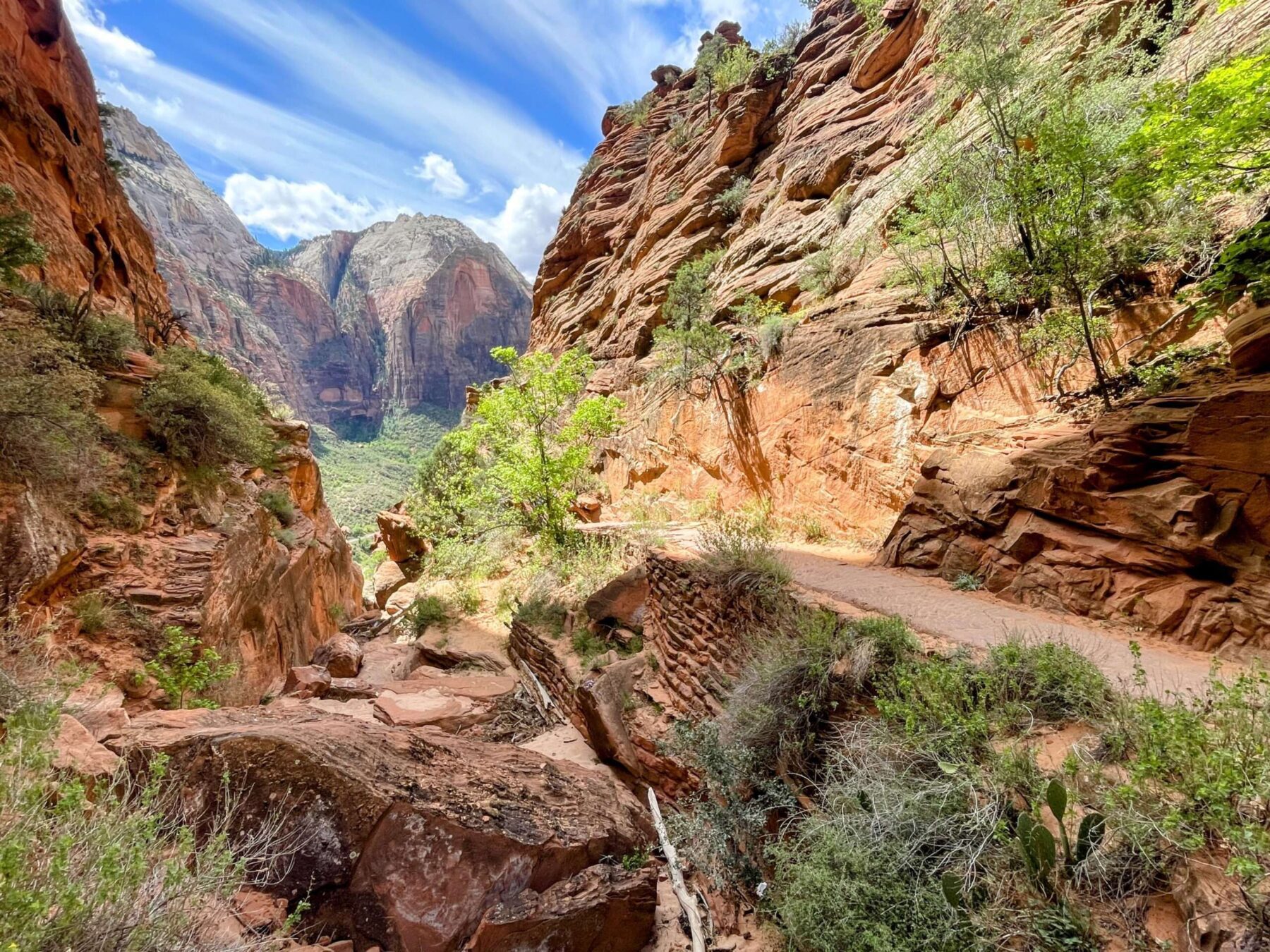 wanderung_zion_nationalpark_angels_landing_