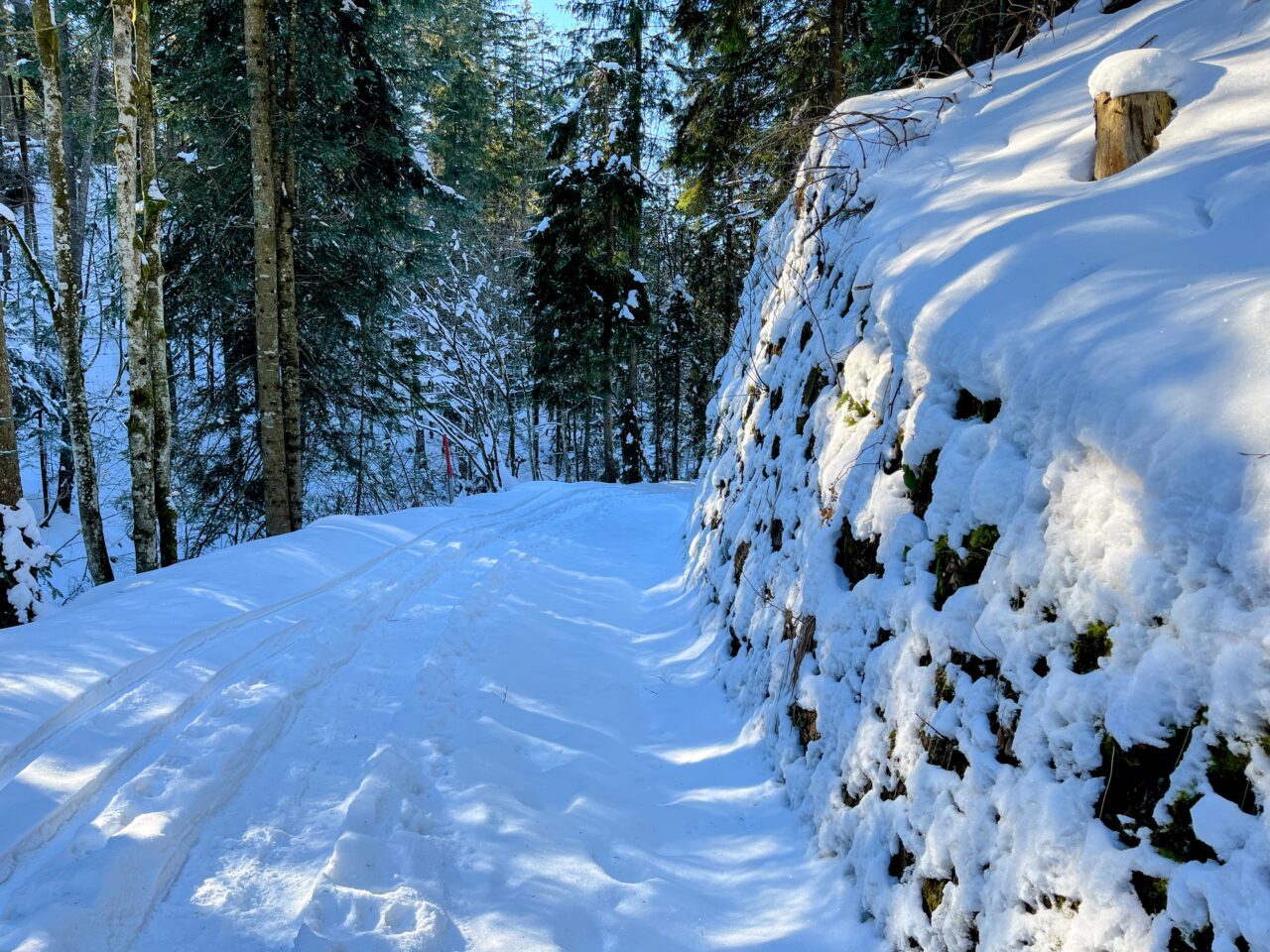 schneeschuhwanderung_rothenturm_ruchegg__IMG_0824 (Kopie)