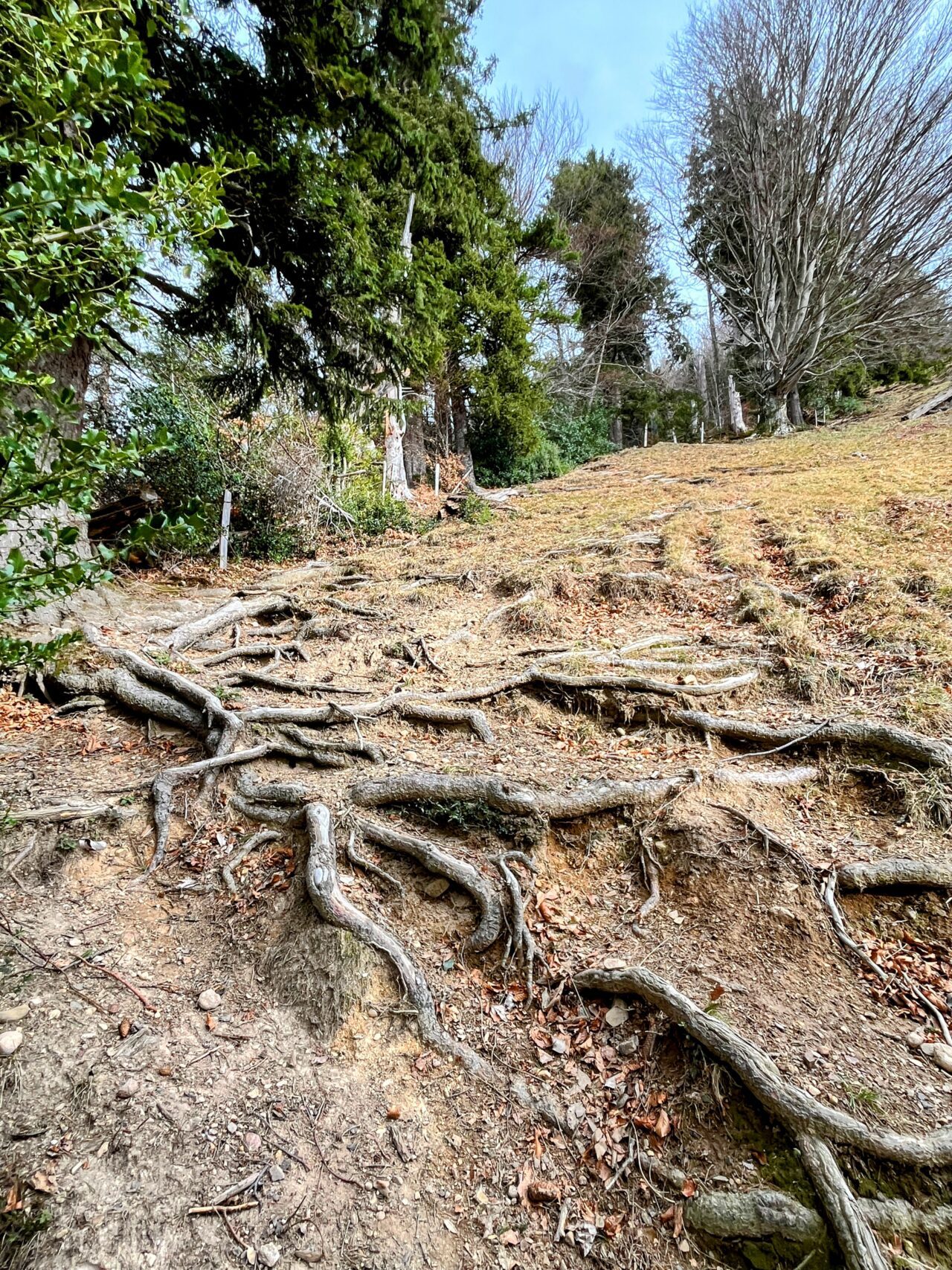wanderung_gnipen_wildspitz_
