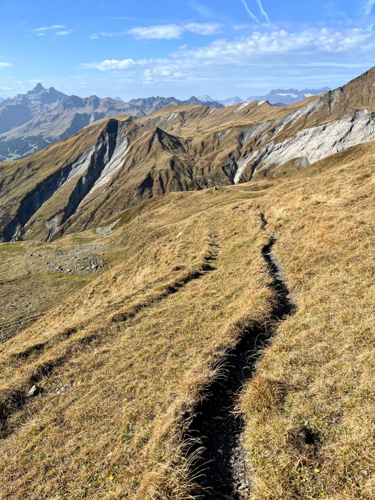 via_alpina_etappe_3_weisstannen_elm_