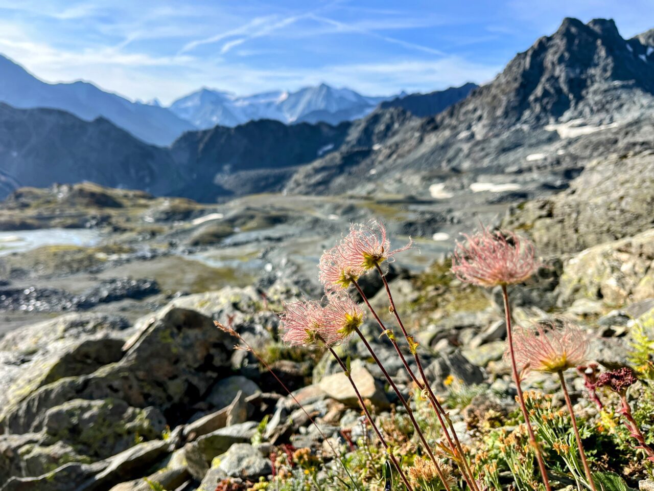 wanderung_alpenpaesseweg_etappe_29_cabane_de_prafleuri_cabane_de_louvie_