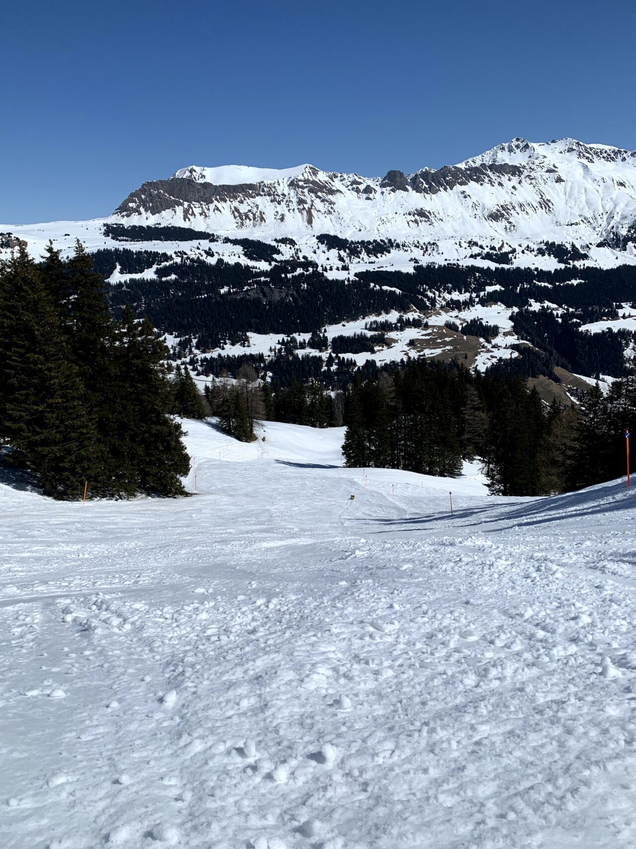 schneeschuhwandern_churwalden_dreibuendenstein_
