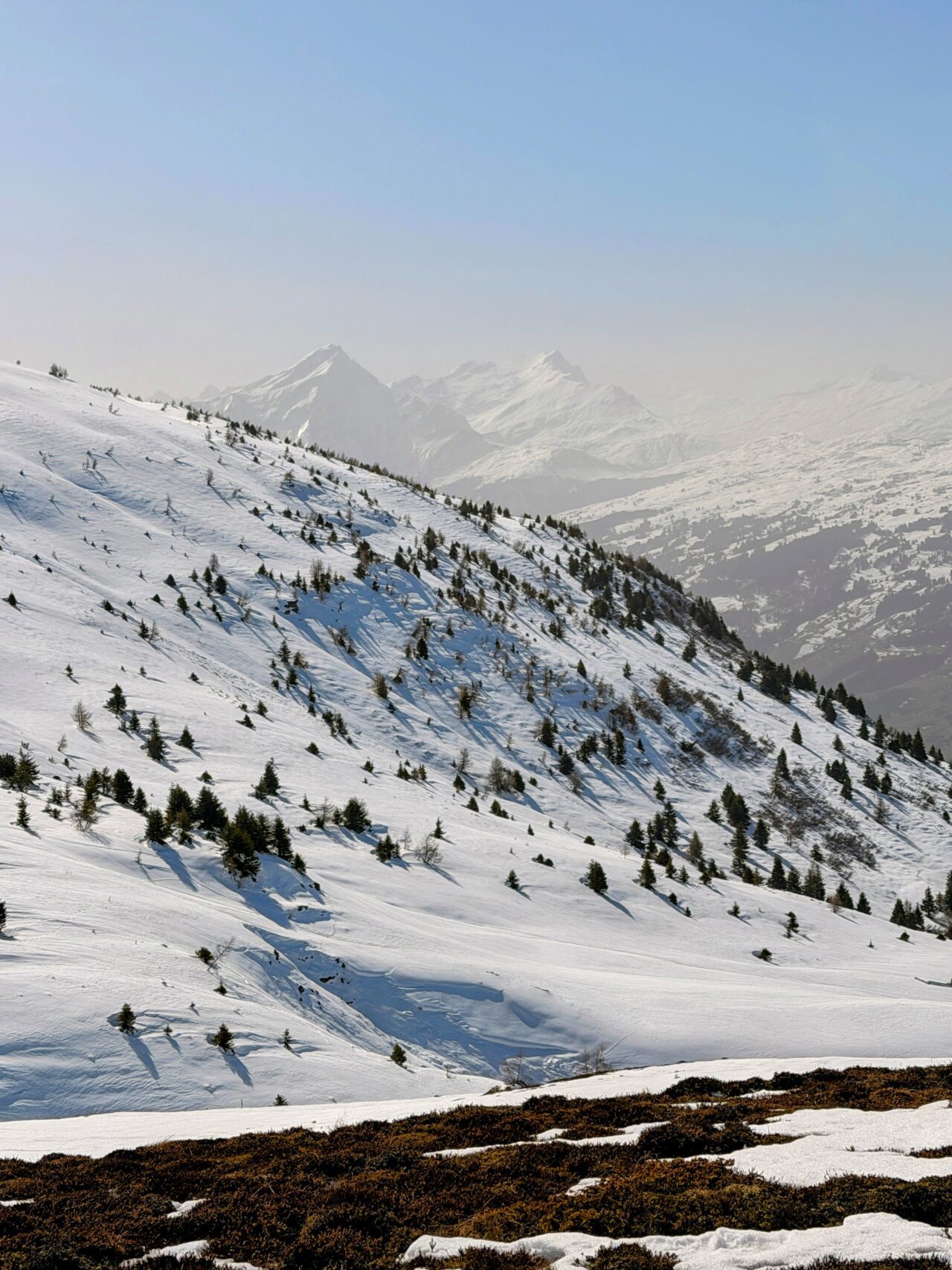 schneeschuhsafari_graubuenden_braembruesch_feldis__IMG_0567