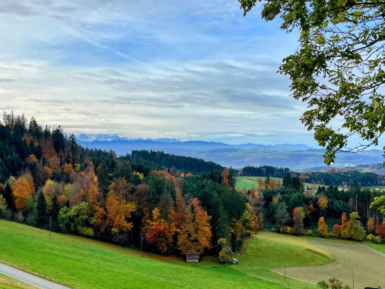 wanderung_trans_swiss_trail_etappe_10_11_bern_worb_lützelflüh_
