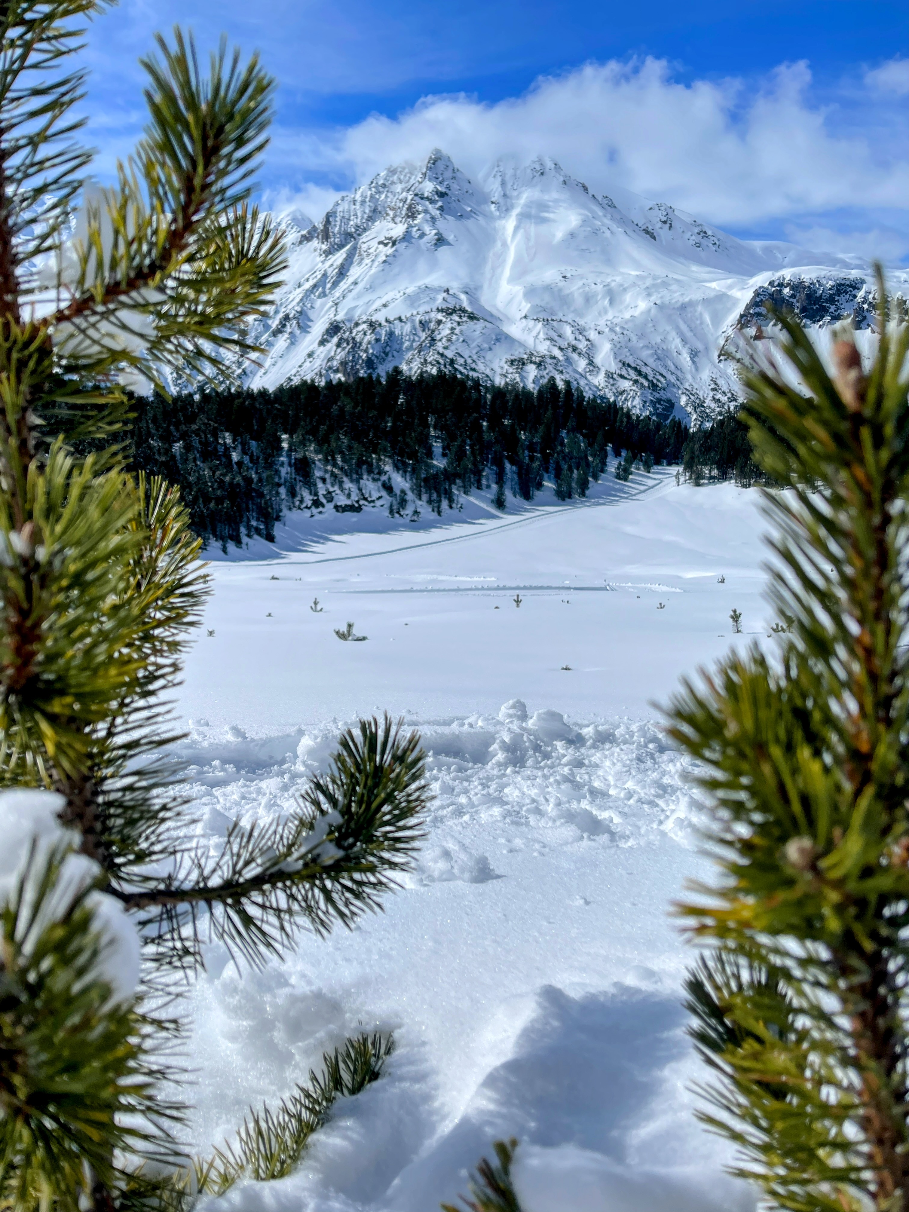 schneeschuhtour_via_silenzi_tag_2_lü_ofenpass_