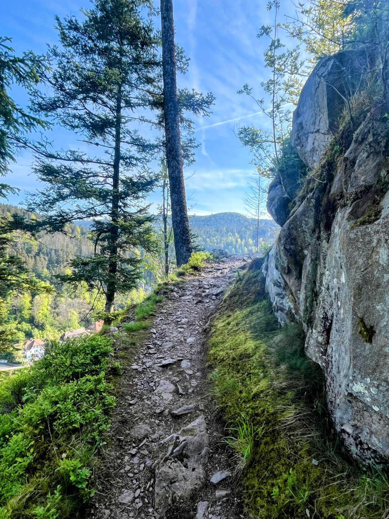 wanderung_schluchtensteig_schwarzwald_
