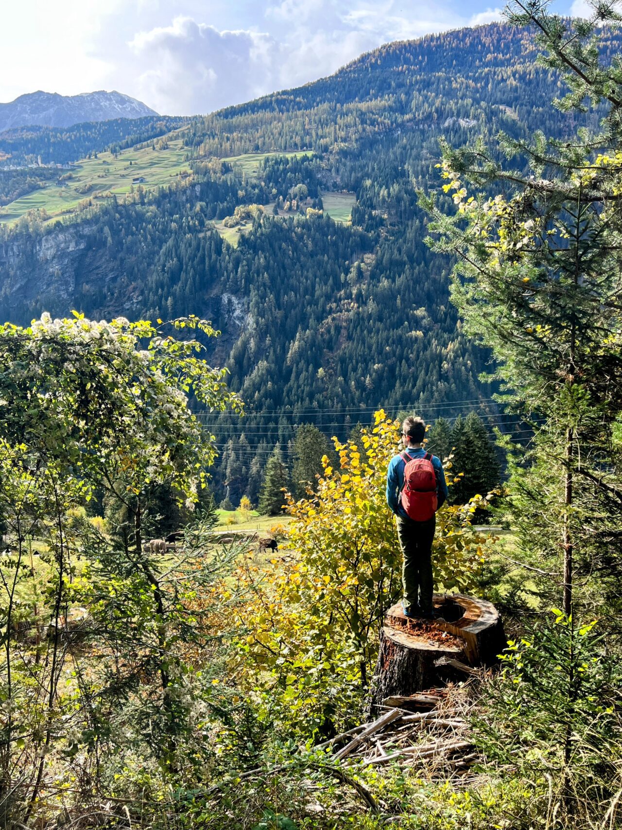 wanderung_via_sett_lantsch_tiefencastel_