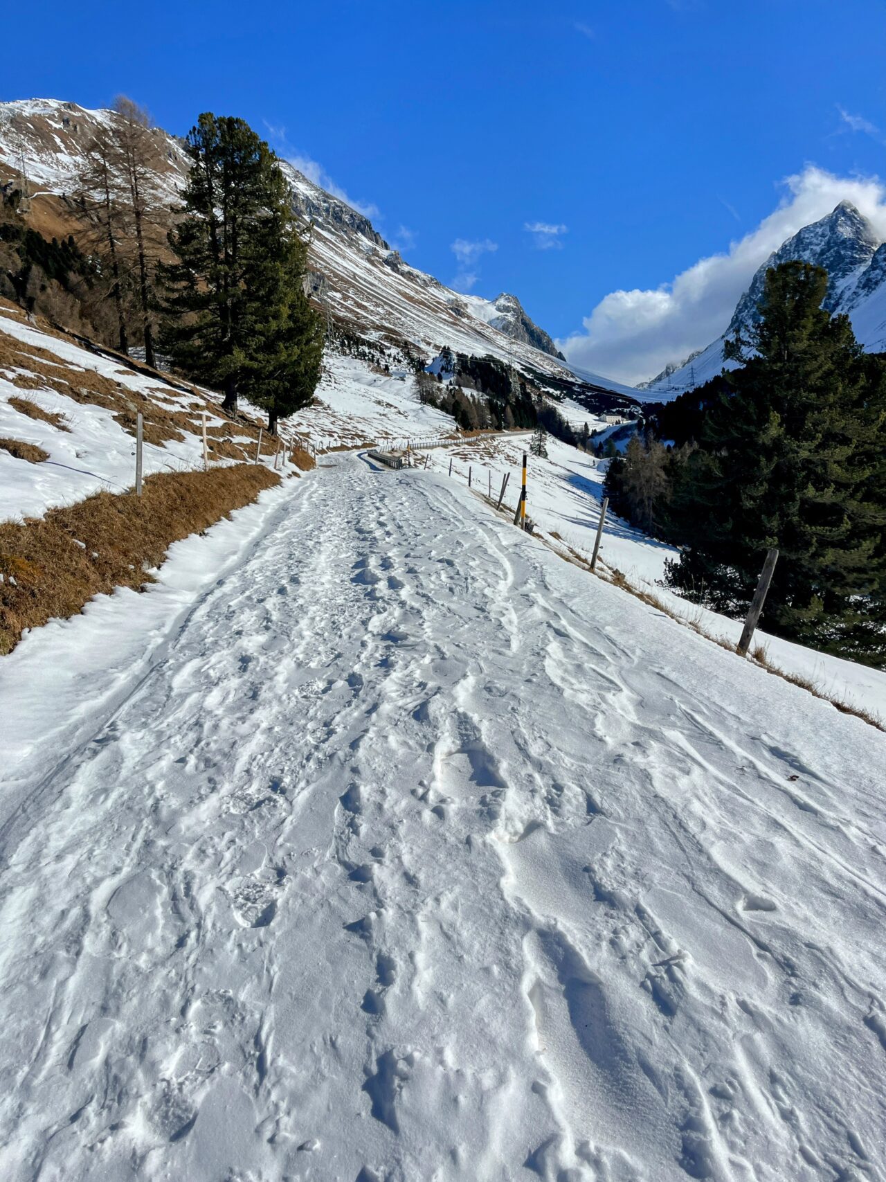 schneeschuhwanderung_preda_albulapass_punt_