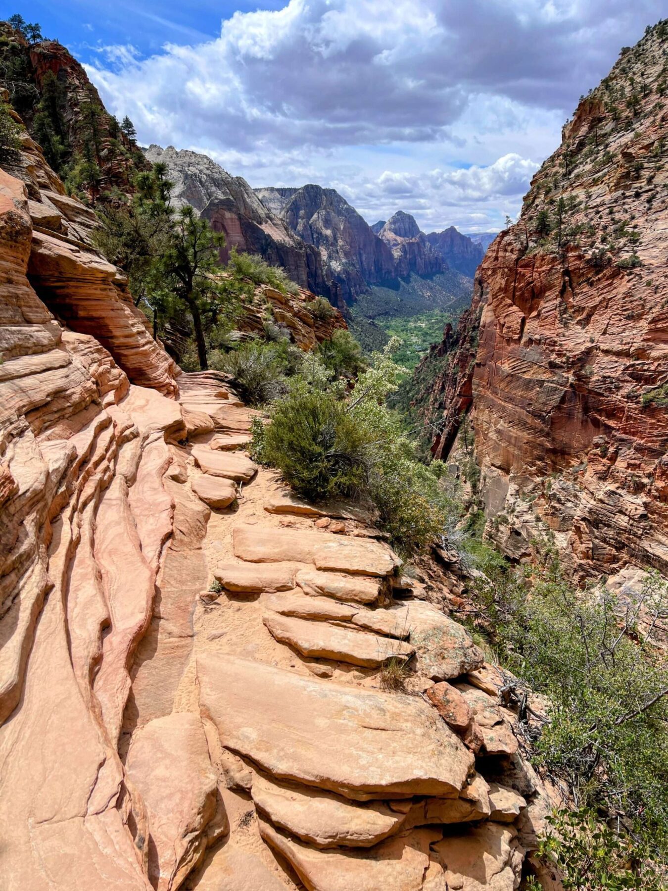 wanderung_zion_nationalpark_angels_landing_