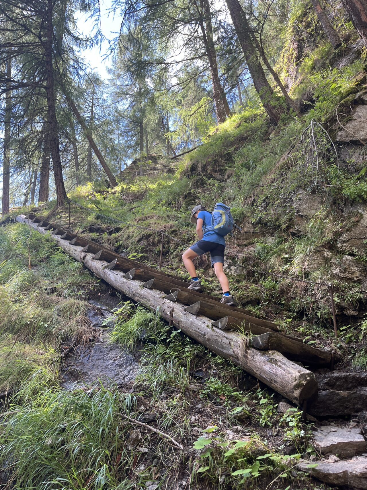 wanderung_Meraner_hoehenweg_hochmuth_nasereithuette_montferthof_